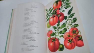 Справочник по огородничеству 