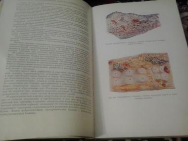 Основы патологической анатомии домашних животных
