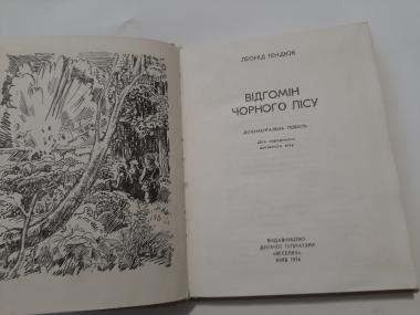 Відгомін Чорного лісу