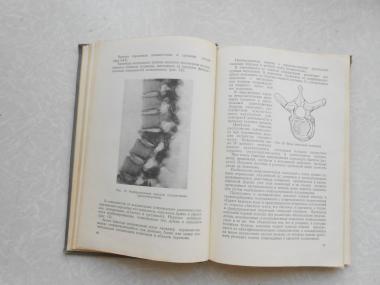 Основы ортопедии и травматологии. 