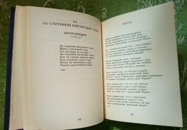 Стихотворения. Поэтическая Россия